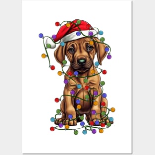 Christmas Puppy Posters and Art